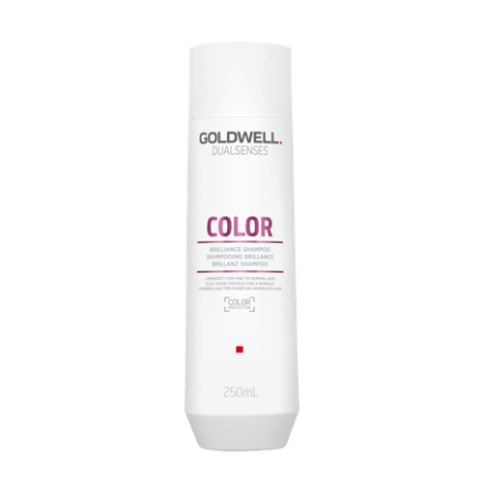 Goldwell Dualsenses Color Brilliance Shampoo