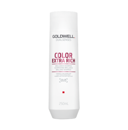 Goldwell Dualsenses Color Extra Rich Brilliance Shampoo